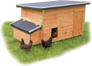 a chicken coop