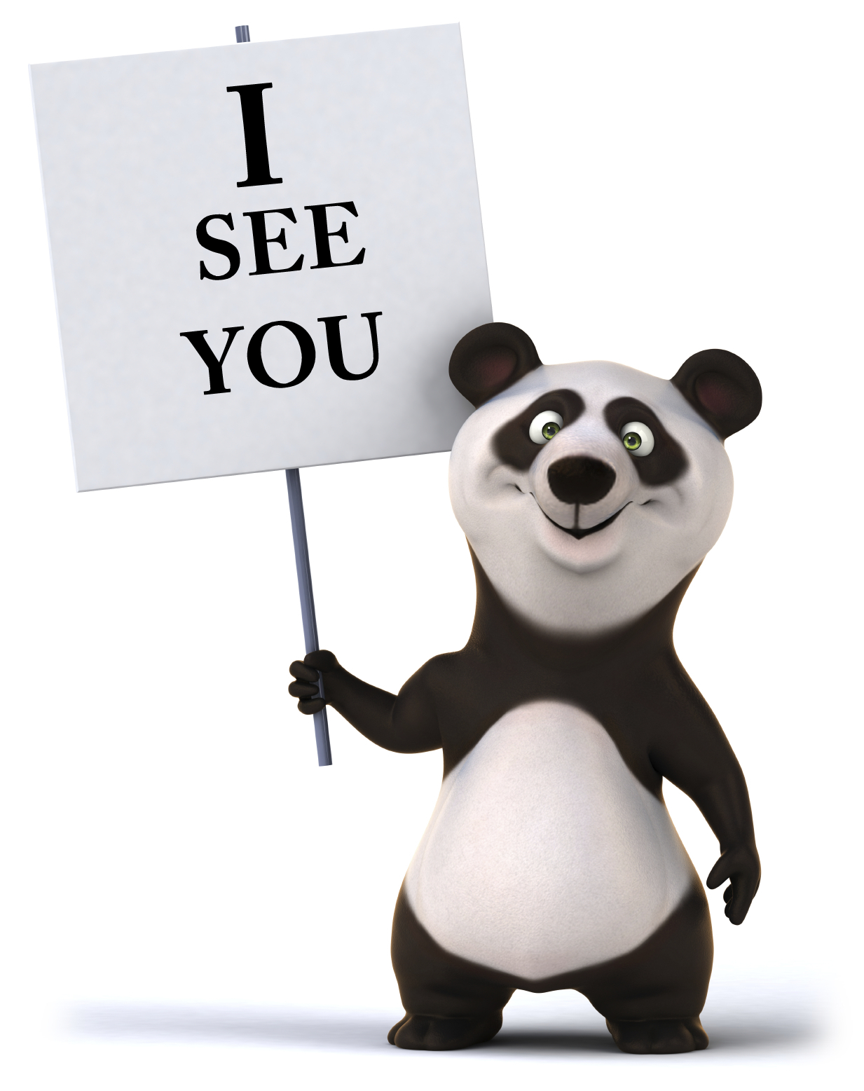 Has Anybody Seen My Panda?