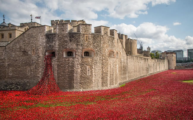Poppies at the Tower of London.
