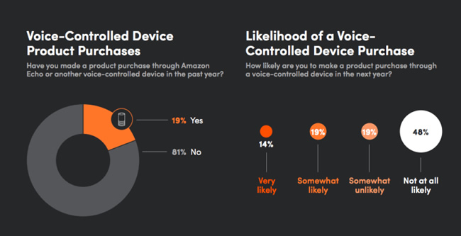 Voice devices ecommerce taking off